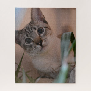 Niedlich Cat Foto Portrait Puzzle