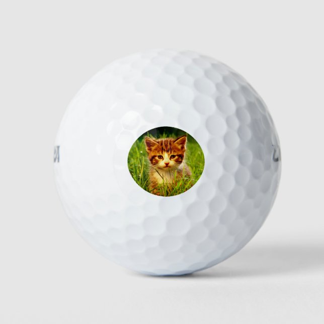 NIEDLICH-CAT GOLFBALL (Vorderseite)