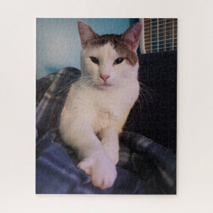 Niedlich Cat Jigsaw Puzzle