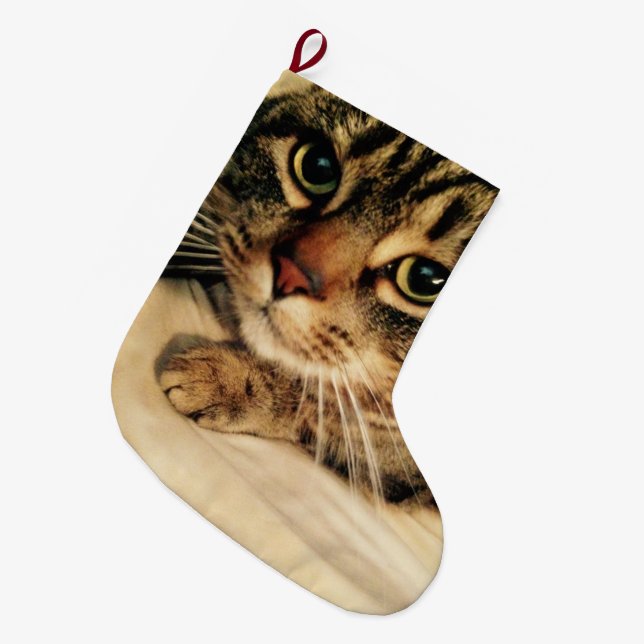 Niedlich Cat Weihnachts-Strumpf Großer Weihnachtsstrumpf (Vorderansicht (hängend))