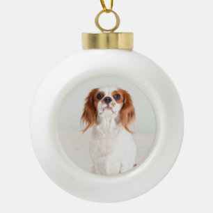 Niedlich Cavalier King Charles Spaniel Ornament