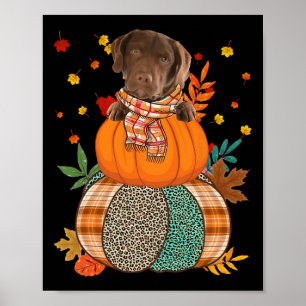Niedlich Chesapeake Bay Retriever Pumpkinthanksgiv Poster