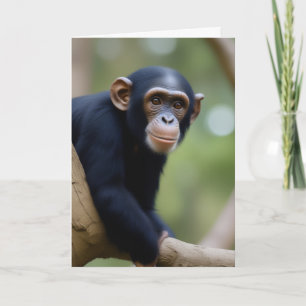 Niedlich Chimp Geburtstag Karte
