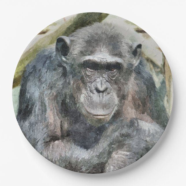 NIEDLICH CHIMPANZEE PAPPTELLER (Vorderseite)