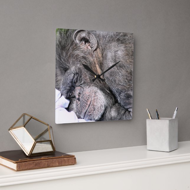 NIEDLICH CHIMPANZEE QUADRATISCHE WANDUHR (Büro)