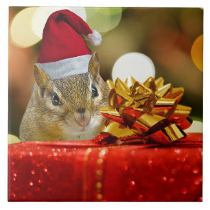 Niedlich Chipmunk Frohe Weihnachten Fliese