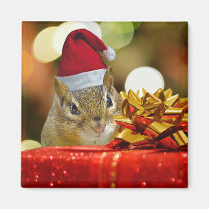 Niedlich Chipmunk Frohe Weihnachten Magnet
