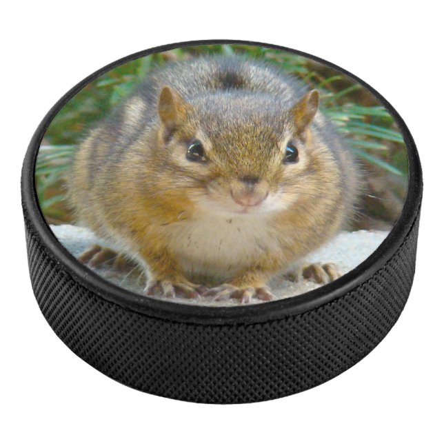 Niedlich Chipmunk hat sein Auge auf dich Eishockey Puck (3/4)