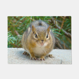Niedlich Chipmunk hat sein Auge auf dich Fußmatte