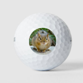 Niedlich Chipmunk hat sein Auge auf dich Golfball