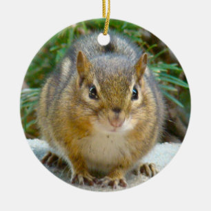 Niedlich Chipmunk hat sein Auge auf dich Keramikornament