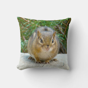 Niedlich Chipmunk hat sein Auge auf dich Kissen
