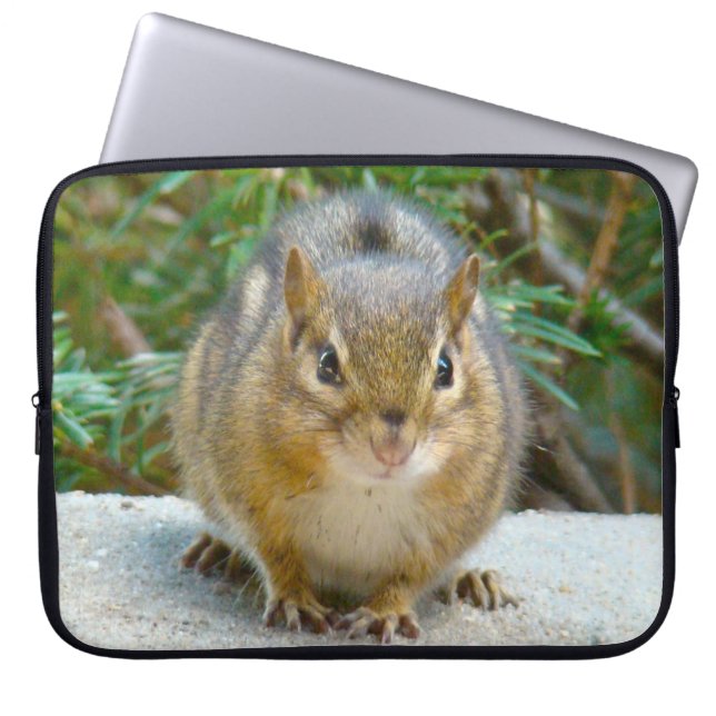 Niedlich Chipmunk hat sein Auge auf dich Laptopschutzhülle (Vorderseite)