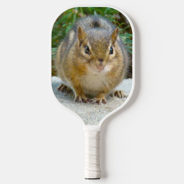 Niedlich Chipmunk hat sein Auge auf dich Pickleball Schläger (Vorderseite)