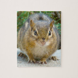 Niedlich Chipmunk hat sein Auge auf dich Puzzle