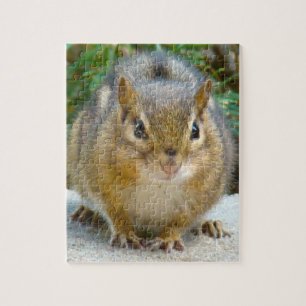 Niedlich Chipmunk hat sein Auge auf dich Puzzle