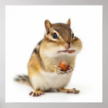 Niedlich Chipmunk