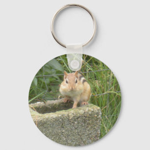Niedlich Chipmunk Schlüsselanhänger