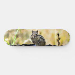 Niedlich Chipmunk Skateboard