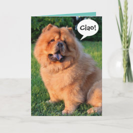 Niedlich Chow Chow Sprichwort "Ciao!"Grußkarte Karte