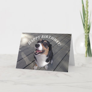 Niedlich Corgi Happy Birthday Karte