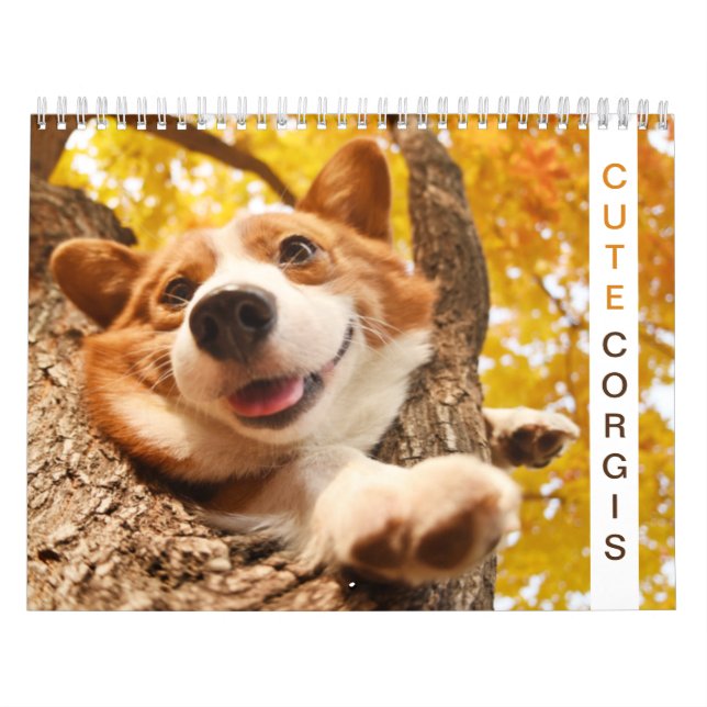 Niedlich Corgis! Hund Kalender (Titelbild)