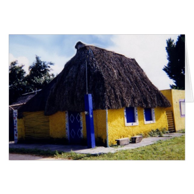 Niedlich Cozumel Thatched Roof Zuhause (Vorderseite (Horizontal))
