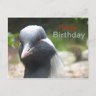 Niedlich Crane Happy Birthday Postcard Postkarte
