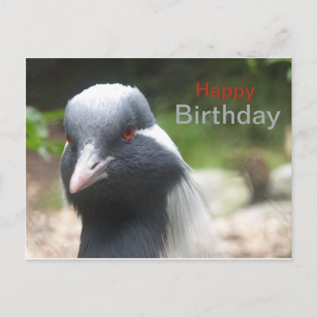 Niedlich Crane Happy Birthday Postcard Postkarte (Vorderseite)