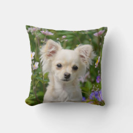 Niedlich Creme Chihuahua Hund Welpe Foto - Kissen