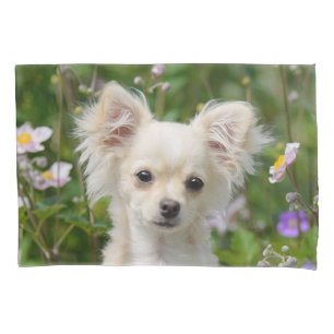 Niedlich Creme Chihuahua Hund Welpe Portrait Foto Kissenbezug