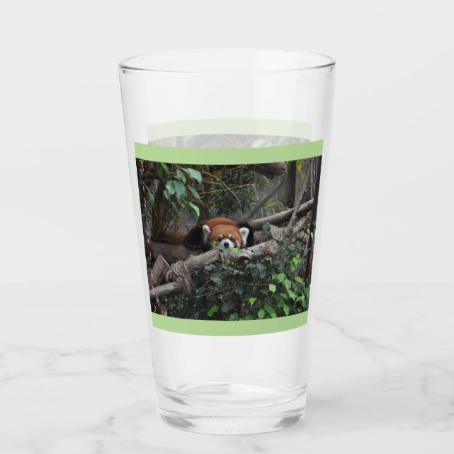 Niedlich Crouching Red Panda Glas (Vorderseite)