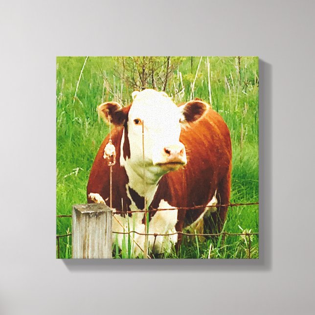 Niedlich Curry Cow 4Carrie Leinwanddruck (Vorderseite)