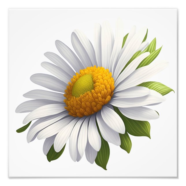 Niedlich Daisy. Power von Blume Fotodruck (Vorne)