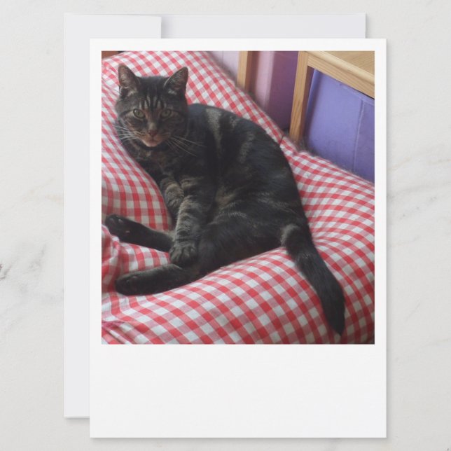 Niedlich Dave Einladung (Vorderseite)