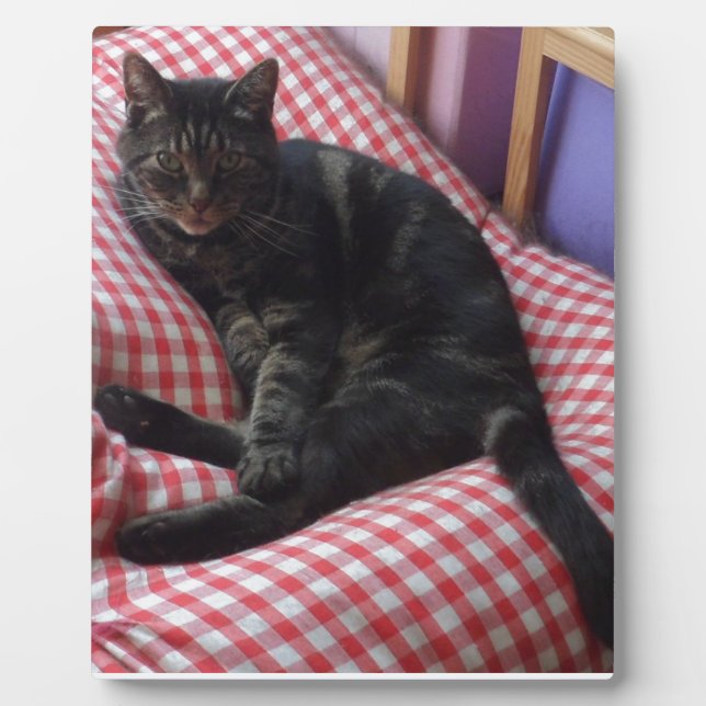 Niedlich Dave Fotoplatte (Vorderseite)