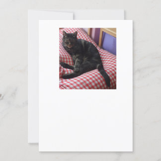 Niedlich Dave Invite Einladung