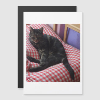 Niedlich Dave Magneteinladung