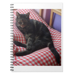 Niedlich Dave Spiral Notebook Notizblock