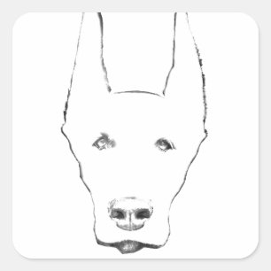 Niedlich Doberman Pinscher Dog Face Sketch Quadratischer Aufkleber
