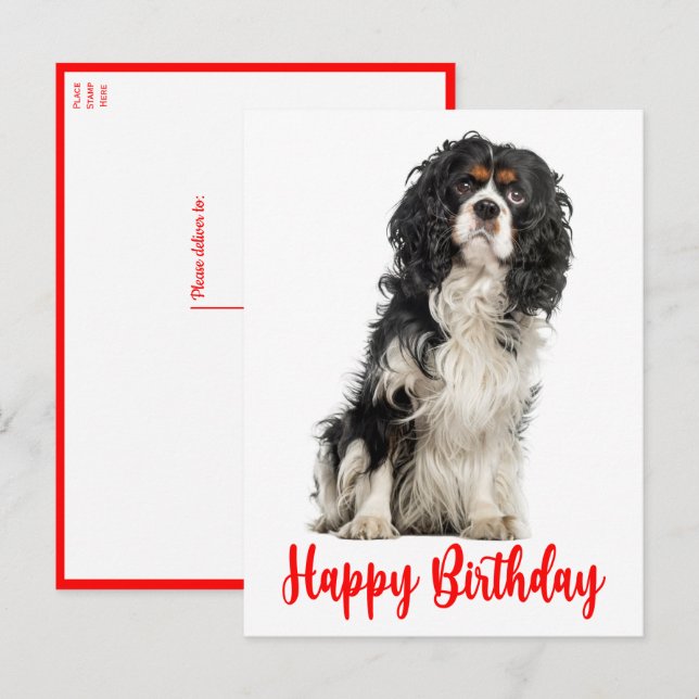 Niedlich Dog Cavalier King Charles Spaniel Birthda Postkarte (Vorne/Hinten)