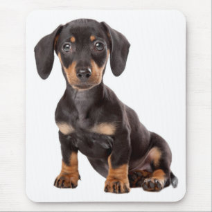 Niedlich Doxin Welpe Dackel Liebe Hund Mama Dackel Mousepad