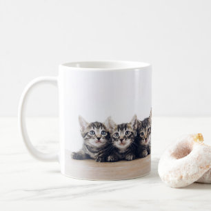Niedlich drei Kätzchen Kaffeetasse
