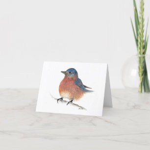 Niedlich Eastern Bluebird Couple Dankeschön Card Dankeskarte