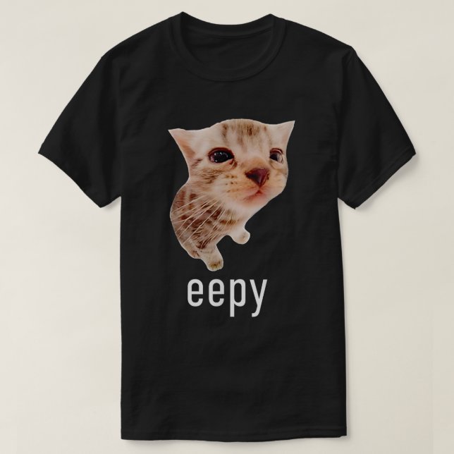 Niedlich Eepy Cat Sleepy Cats Meme Funny T-Shirt (Design vorne)