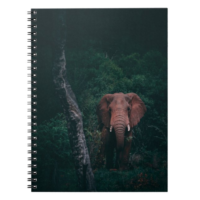 NIEDLICH ELEPHANT NOTIZBLOCK (Vorderseite)
