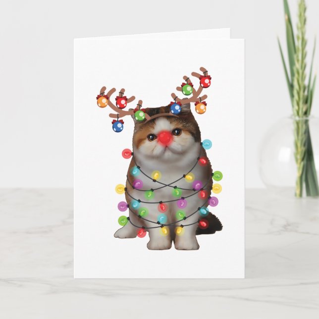 Niedlich Exotic Kurzkatze Funny Xmas Weihnachtsges Karte (Vorderseite)