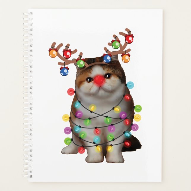 Niedlich Exotic Kurzkatze Funny Xmas Weihnachtsges Planer (Vorderseite)