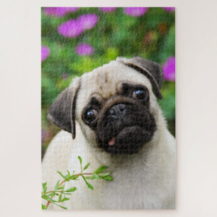 Niedlich Fawn Cologe Mops Welpe Dog Portrait Foto Puzzle