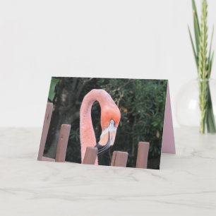 Niedlich Flamingo Grußkarte Karte